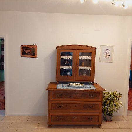 Ferienwohnung Lucy Am Lonitzberg Steinakirchen Am Forst المظهر الخارجي الصورة